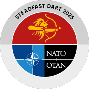 STEADFAST DART